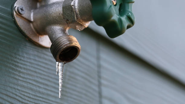 Best Commercial Plumbing Services  in Artondale, WA