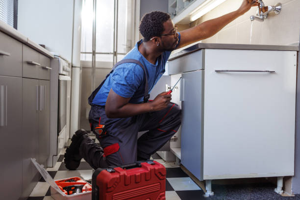 Best Local Plumber Services  in Artondale, WA