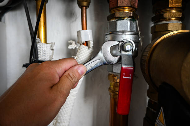 Best Plumbing Inspection Services  in Artondale, WA